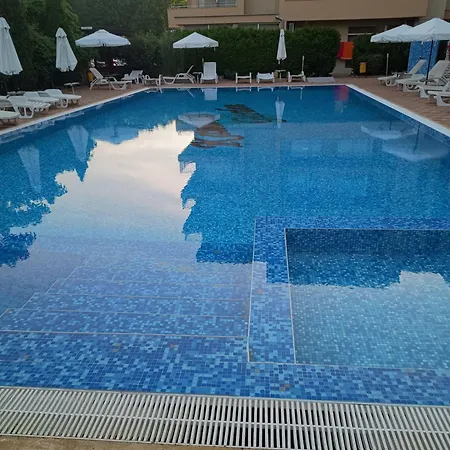 Kamelia Garden *